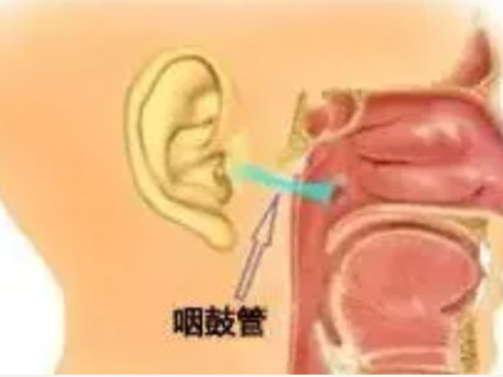 全國(guó)愛(ài)耳日 專(zhuān)家談急性化膿性中耳炎